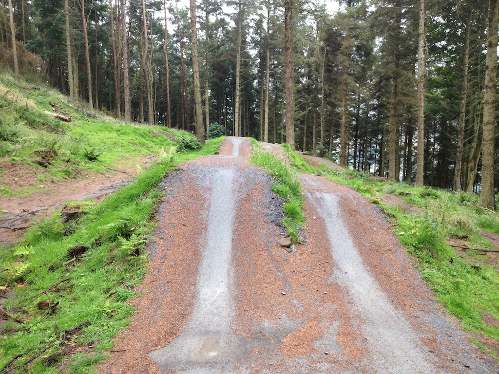 A Track we found In Perthsire