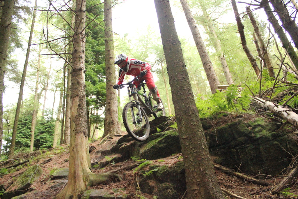 Shredding the rock garden