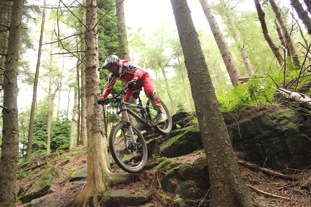 Shredding the rock garden
