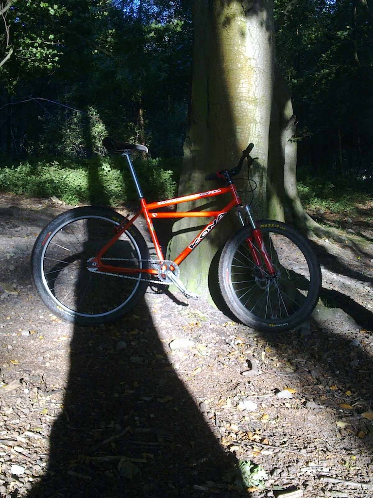bike, tree,shadow....