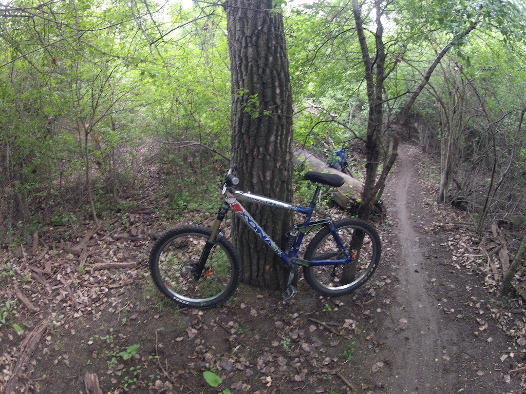 A Sweet singletrack trail down at Riverfront park in Billings