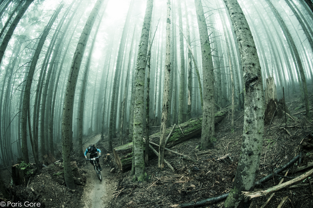 Racer at the first annual Tiger MT Enduro emerges through the mist during the second stage. -www.parisgore.com-