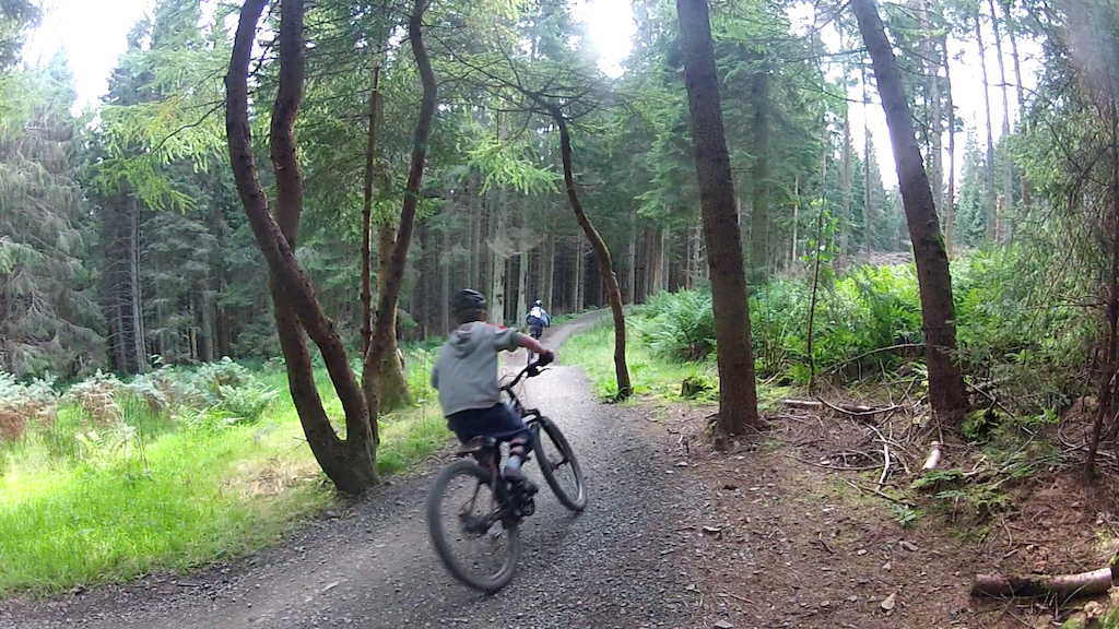 Chasing Lewis down the trail