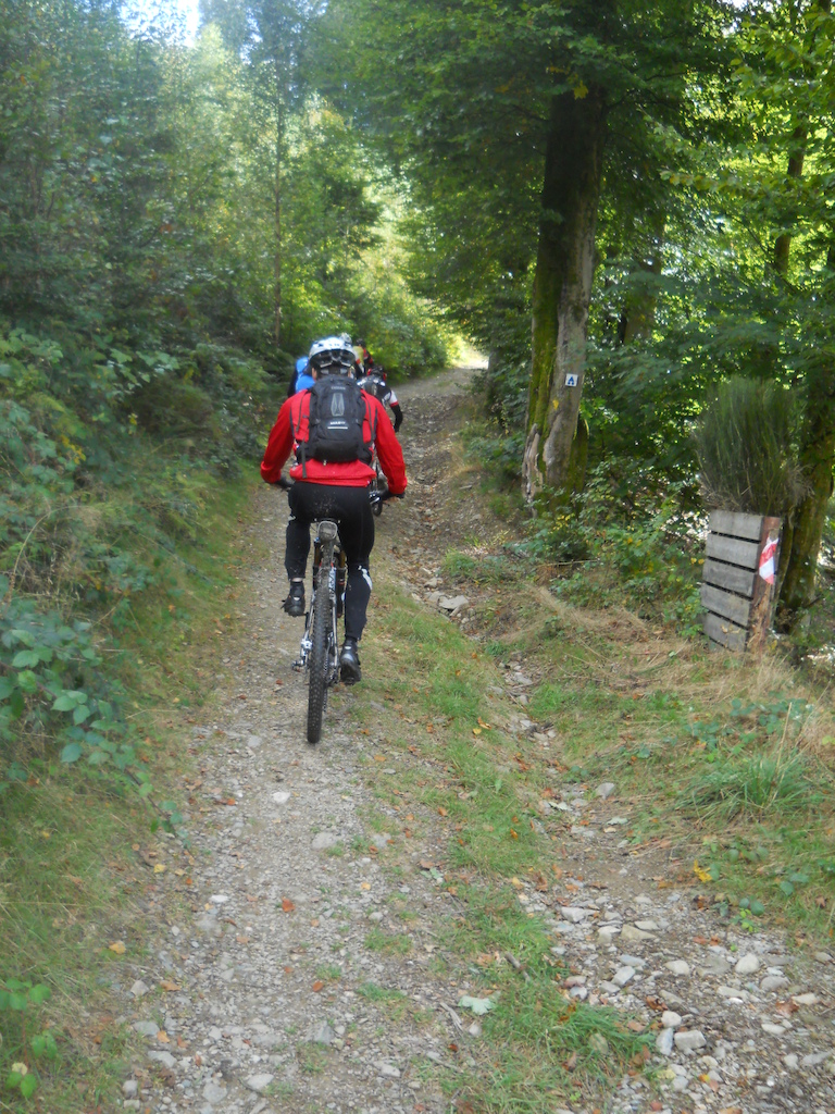 Shots taken in La Roche and Houffalize
