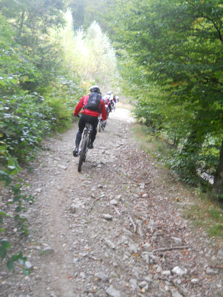 Shots taken in La Roche and Houffalize