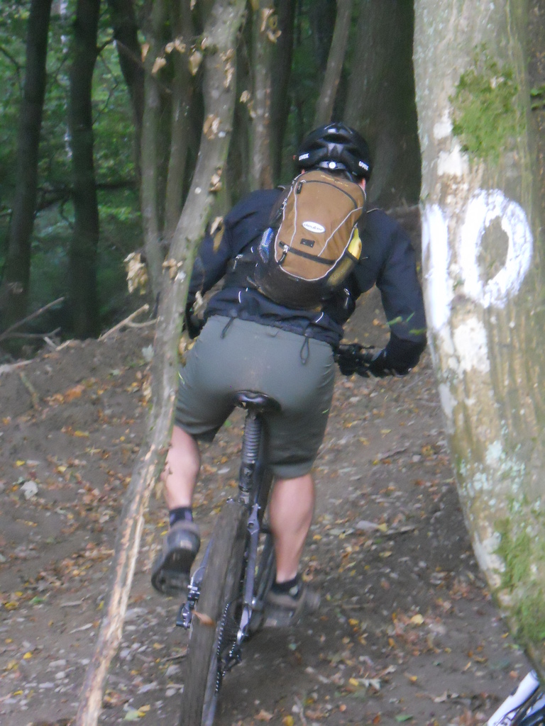 Shots taken in La Roche and Houffalize