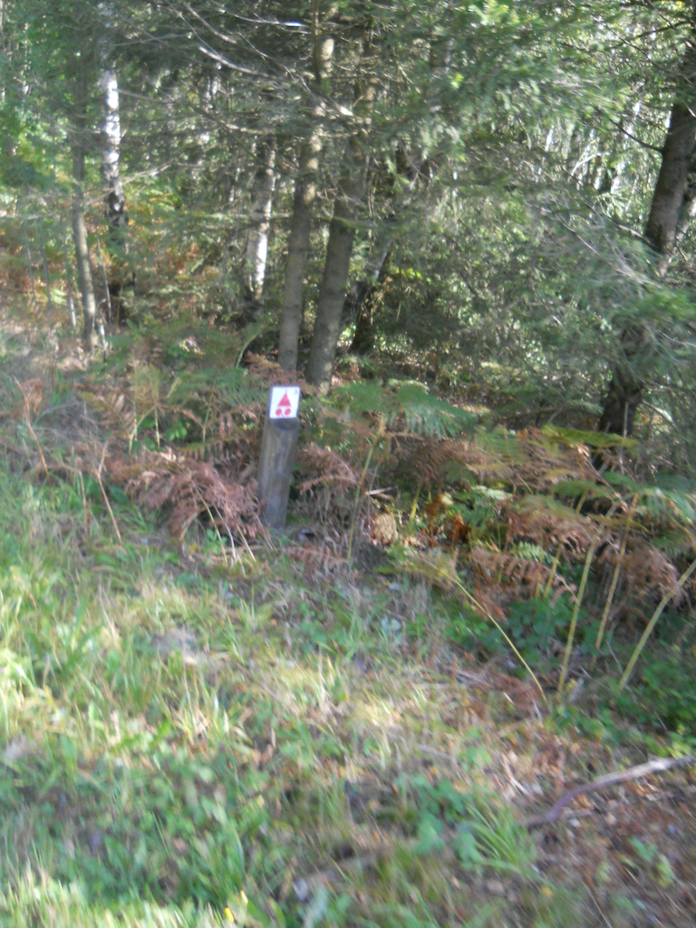 Shots taken in La Roche and Houffalize