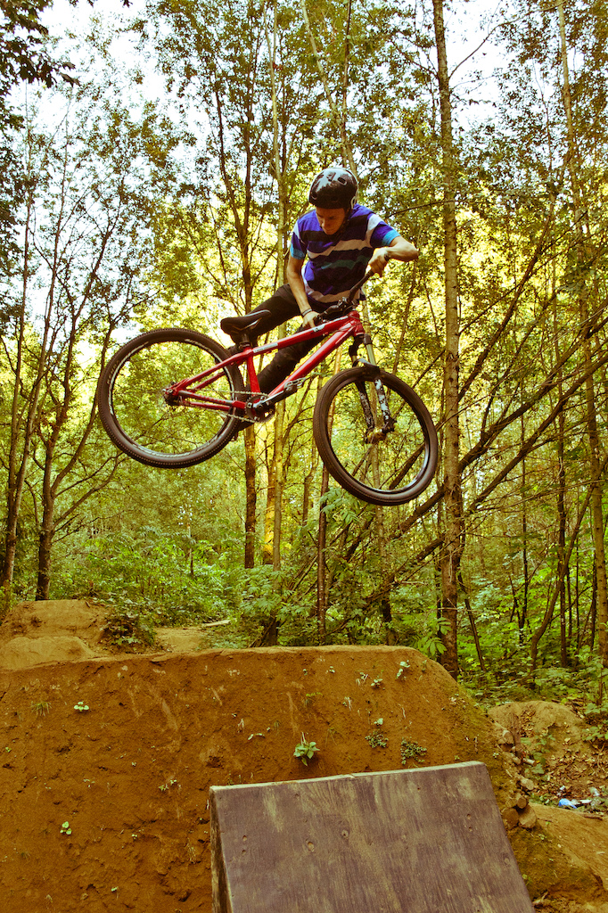 ........3 whip..........