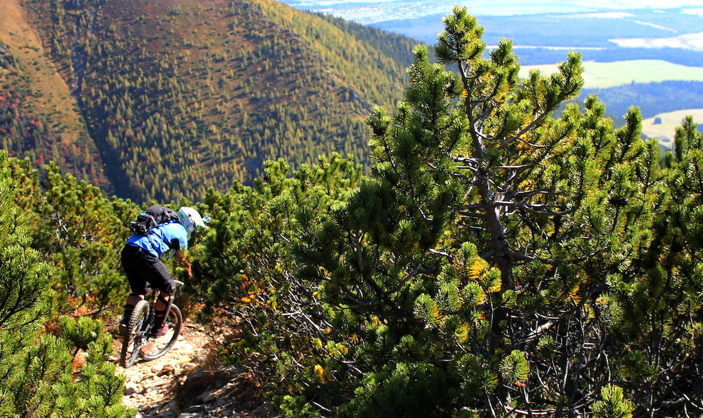 Pivot in big mountains