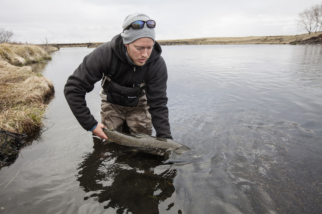 Myself in Iceland in 2012 with the trout of a lifetime.