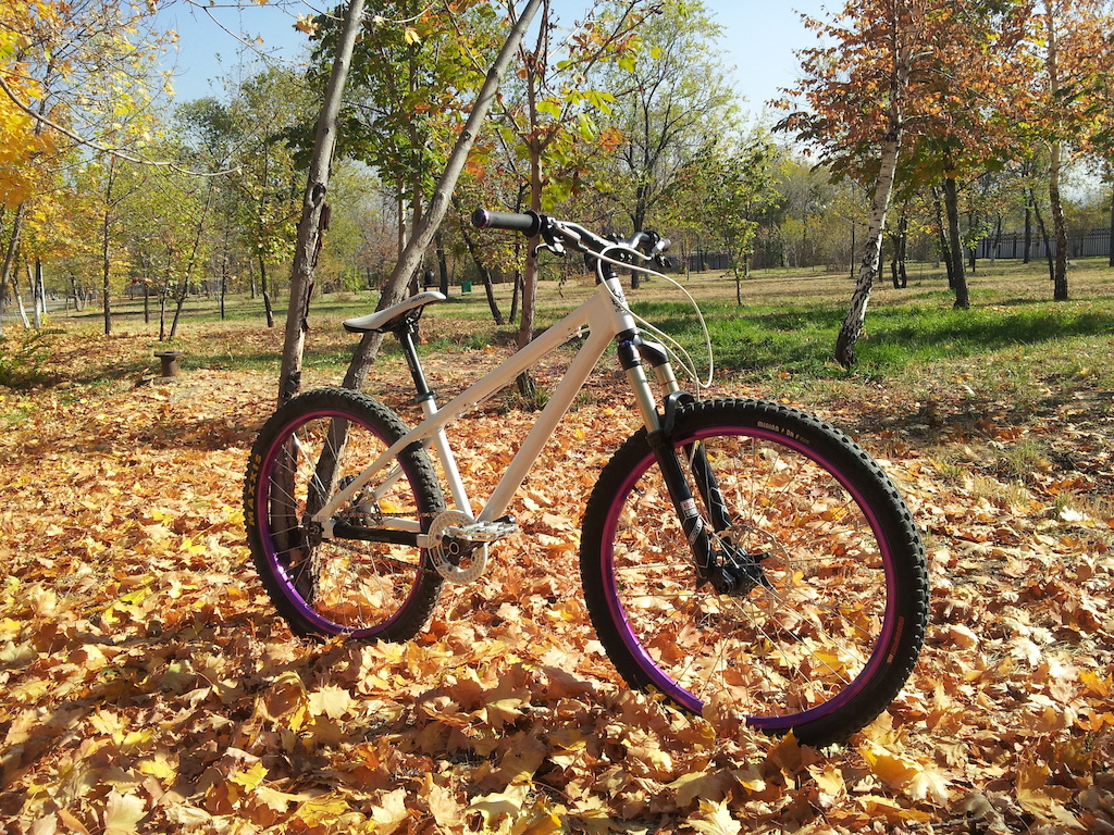 my bitch with new sektor rl dpc (120mm on photo). I'm stoked of how it rides