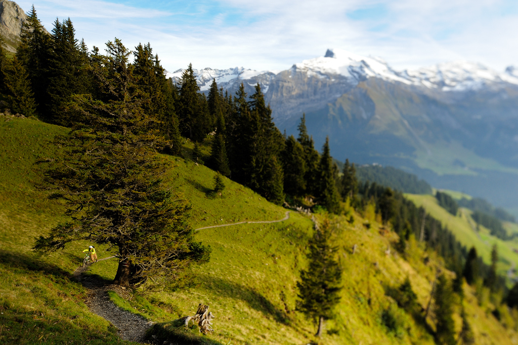 Used a tilt shift lens to put the rider/hiker in focus.