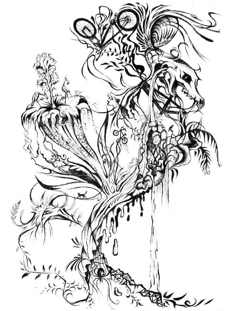 www.facebook.com/kasiasart