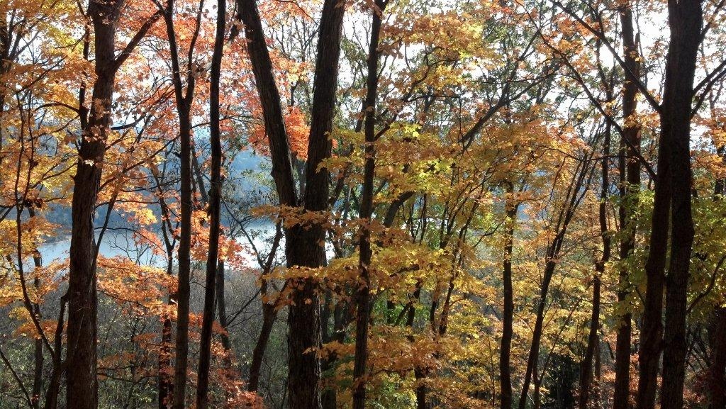 On top of Defeated Creek