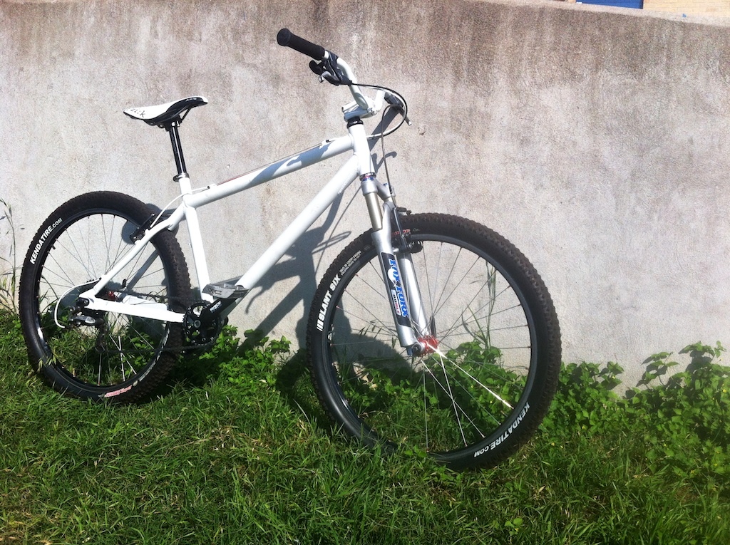 Vintage 1996 Santa Cruz Chameleon