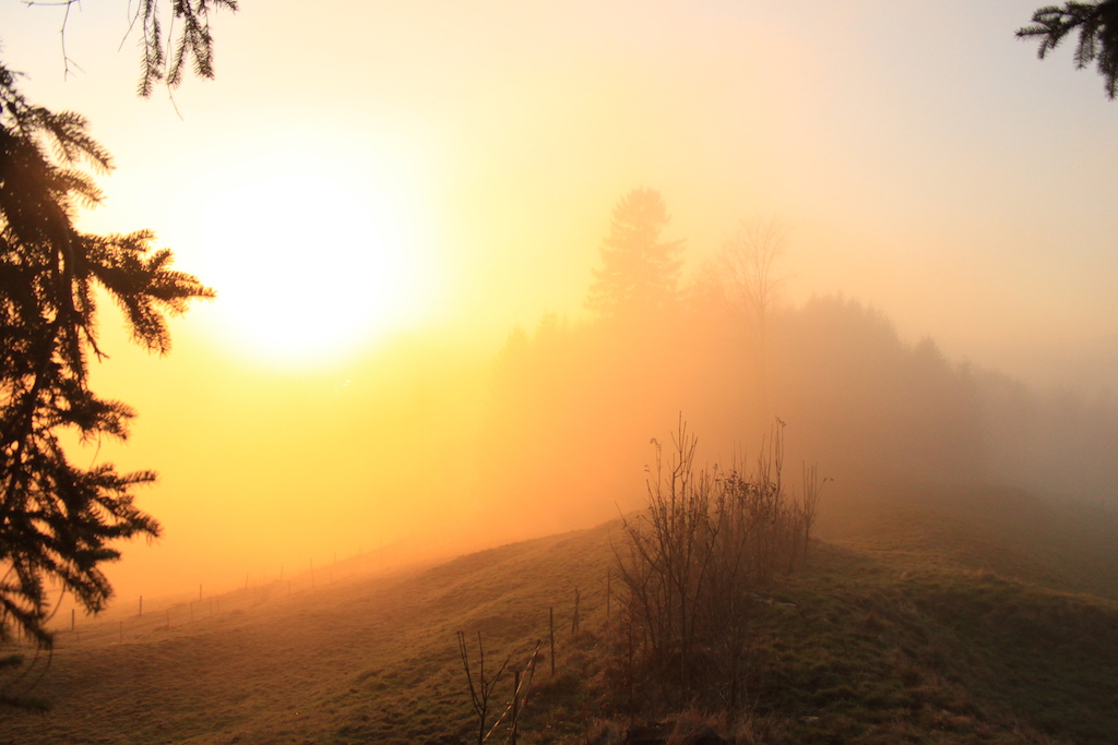 Foggy Sunset