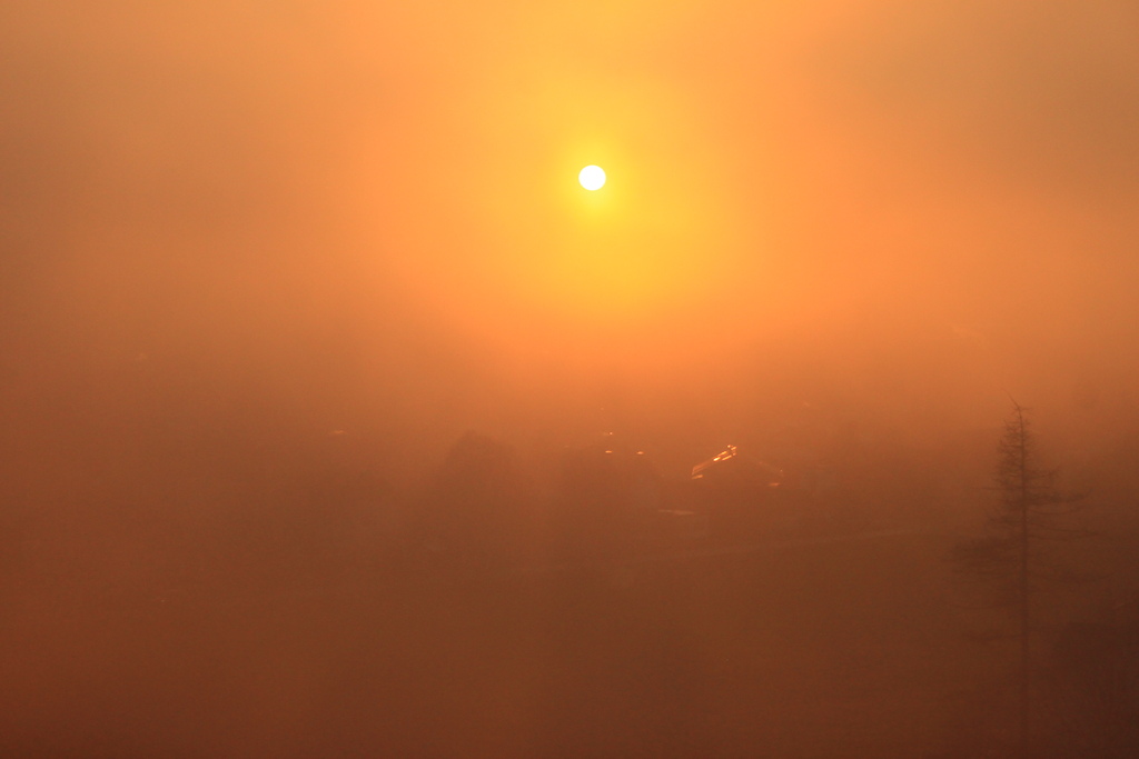 Foggy Sunset