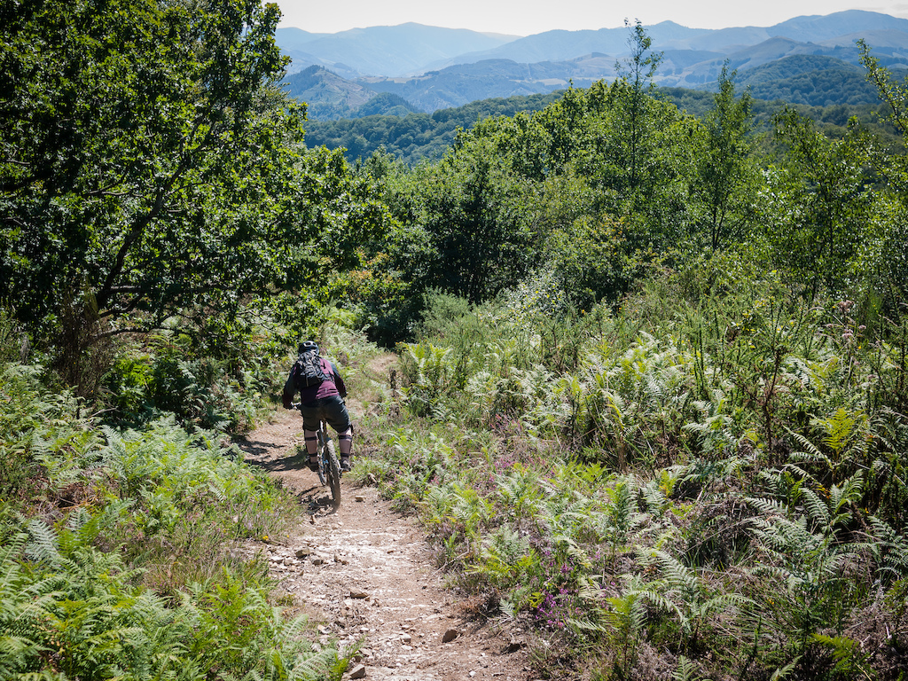 A regular trail we do. It's just a short descent, a couple of hundred meter or a bit more but twisty and fun.