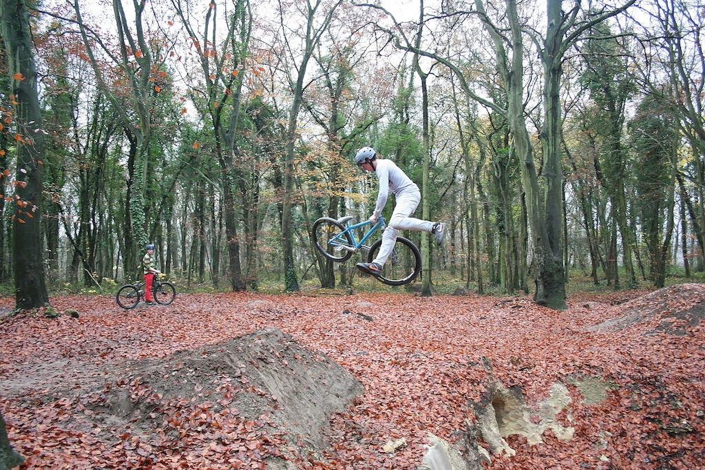 Tailwhip