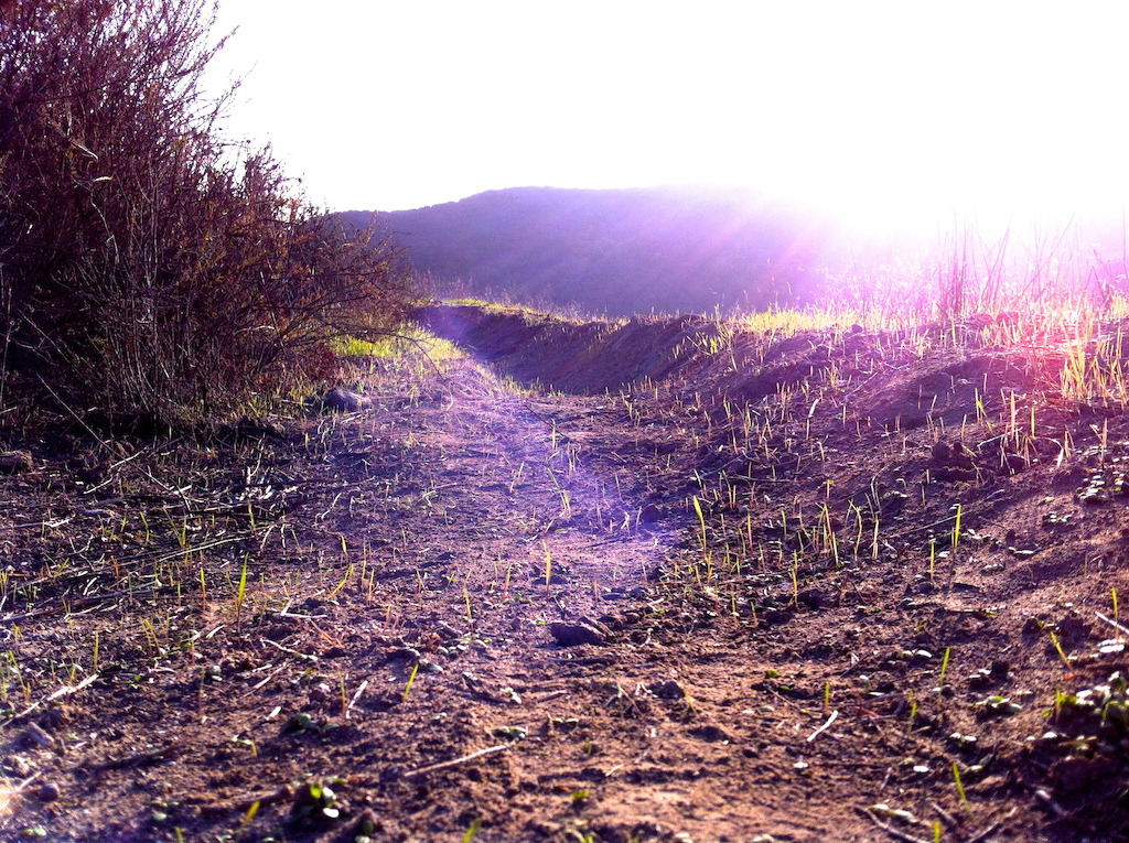 Got me some of that hipster-photography skills haha
