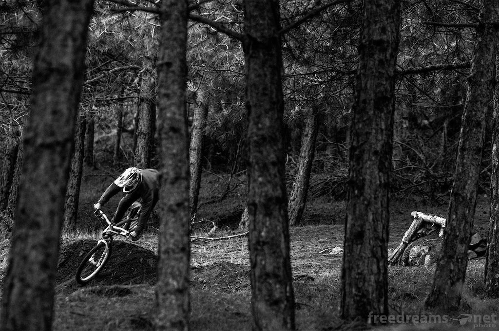 Dirt jump bike in the forest