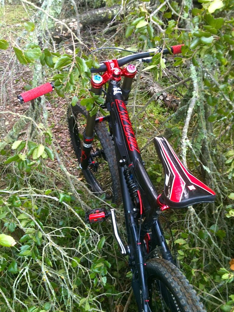 Trying to navigate a bike through a fallen tree without scratching anything from the sharp ass stubs/branches...