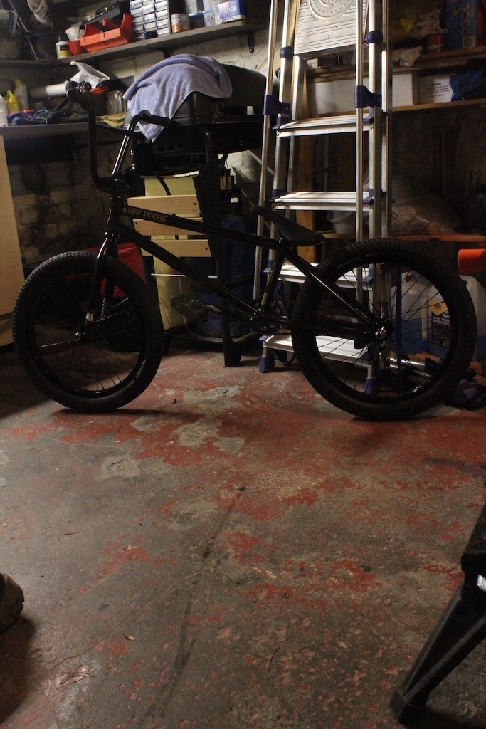low light but its the best photo i got