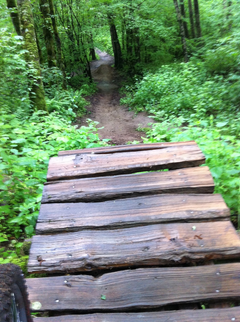 First time on sumas mountain checking out the trails, almost hit this without knowing how big it was