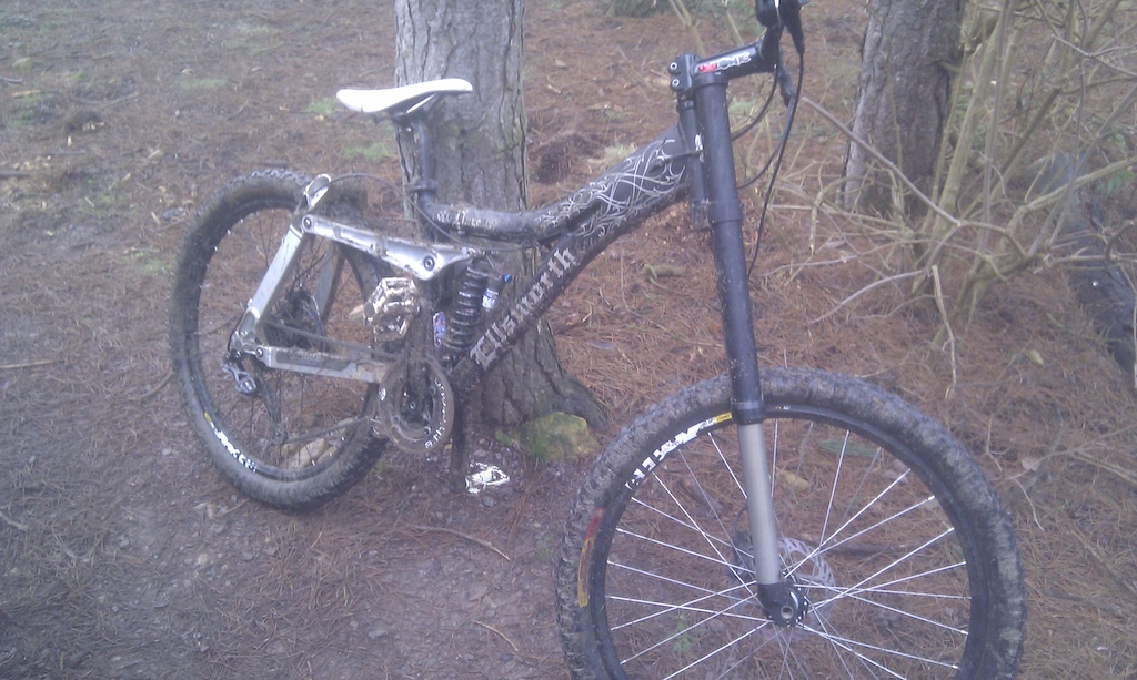 Super muddy, horrible ride around the off piste at Fineshade. She weighs a ton but is great fun.