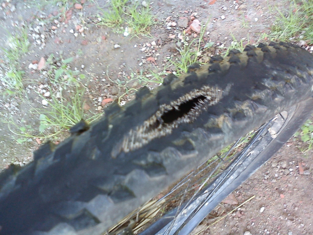 My old tires...