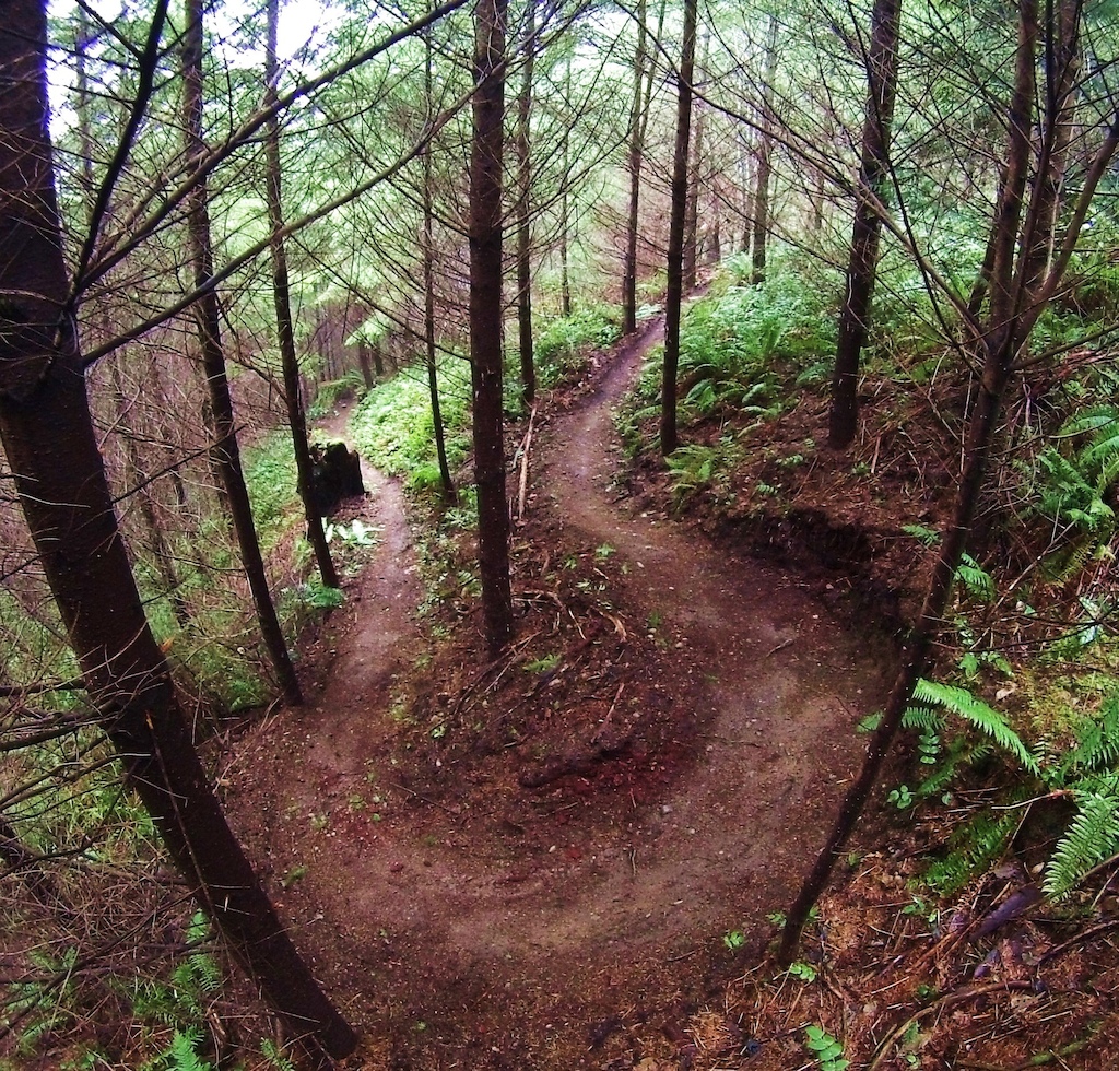 Hands down the best trail @ Tokul. 1.2 miles 
With over 600 ft of elevation loss.