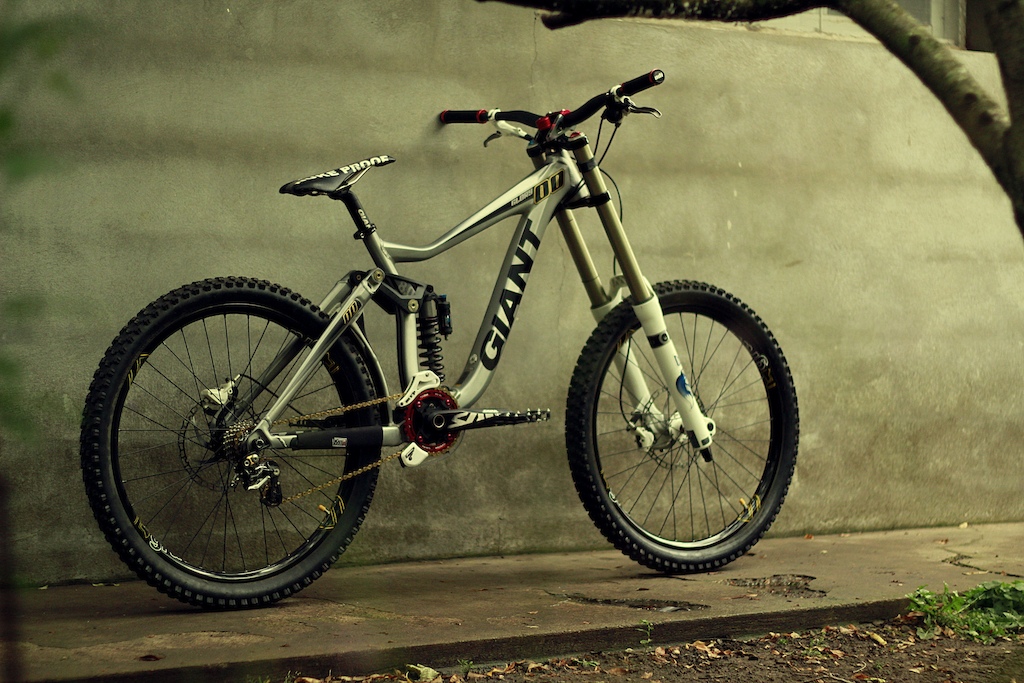 My Giant Glory 00 2011