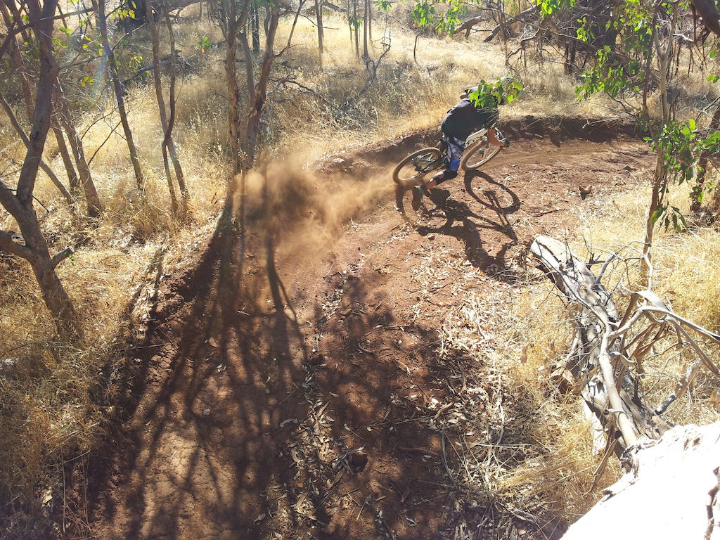 Arvin getting his roost on! so rad to watch!