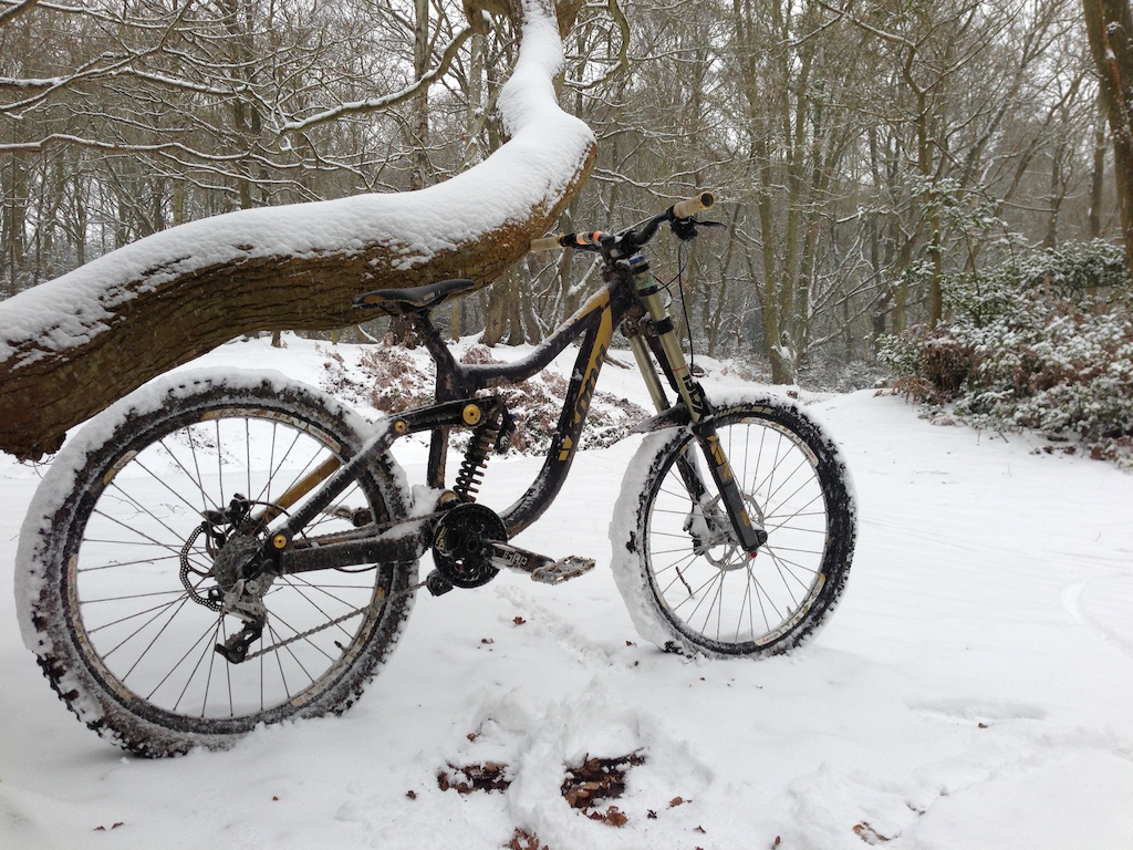 out playing in the snow