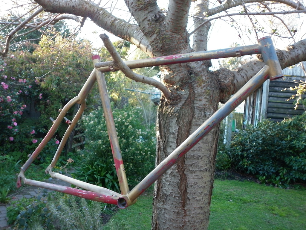 Steel Is Real!!! Yeah I know it's a late nineties XC frame (1997 Avanti Hammer), but notice the slack as DH/FR perfect headangle. It'll probably end up as a rigid SS Klunker/P-Fix/Sunn B-Mix inspired ride, might rock it out back with a pedal coaster brake. See how it pan's out.