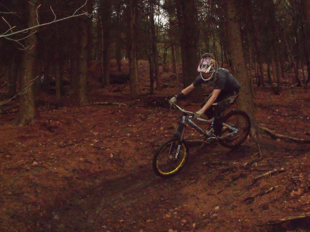 shredding