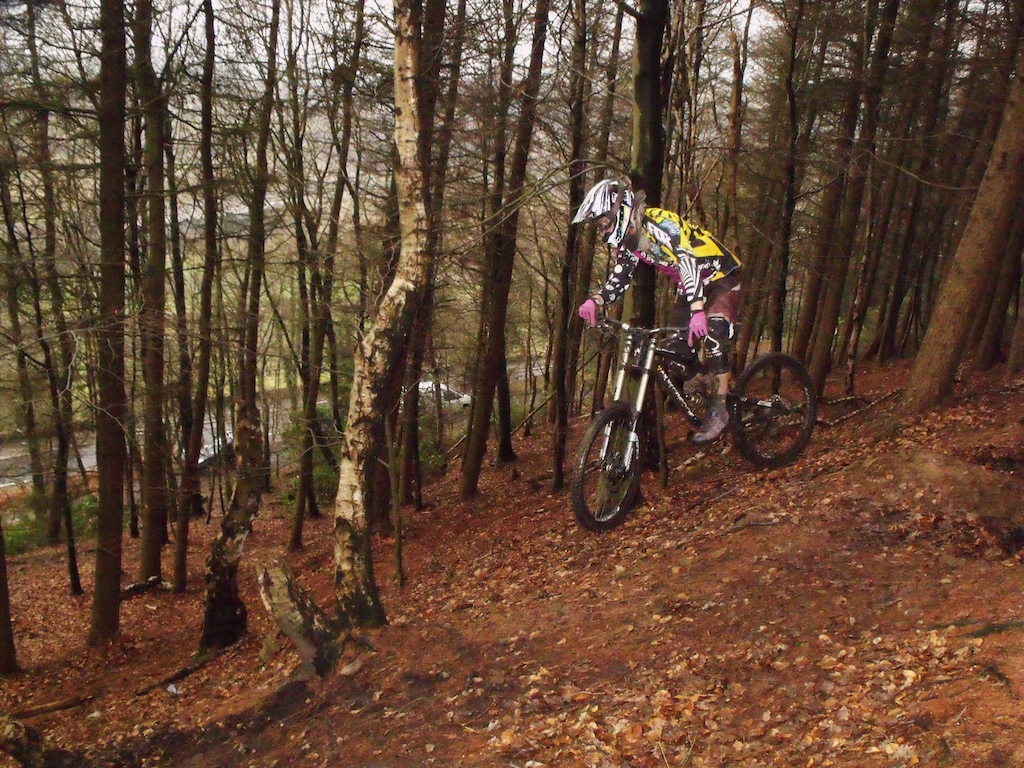 shredding
