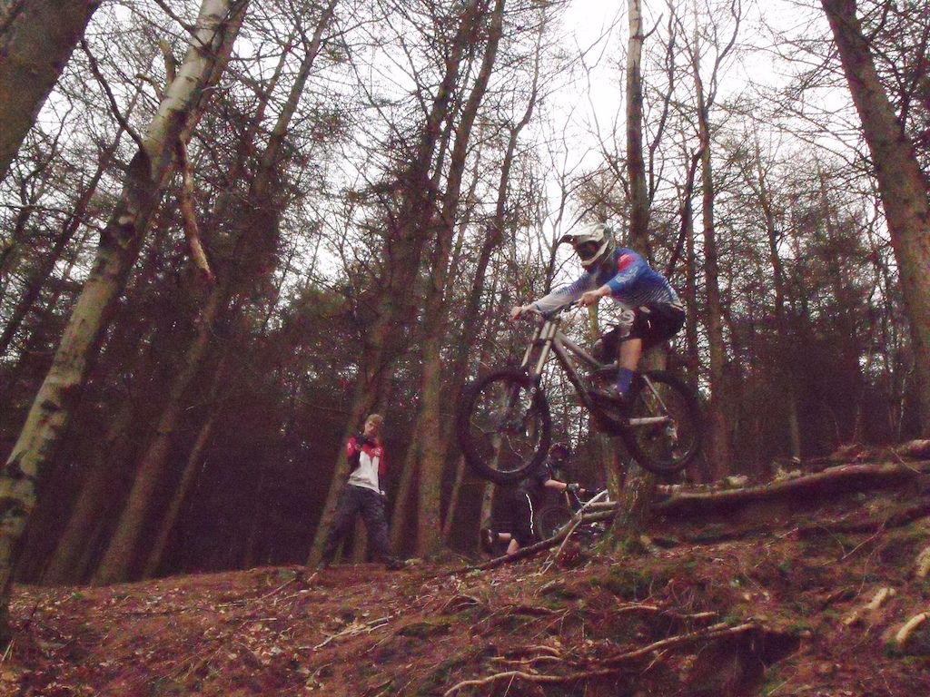 shredding