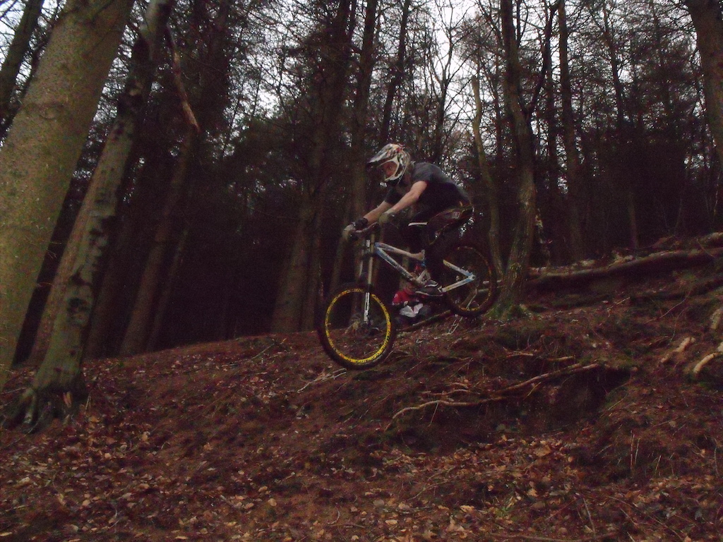 shredding