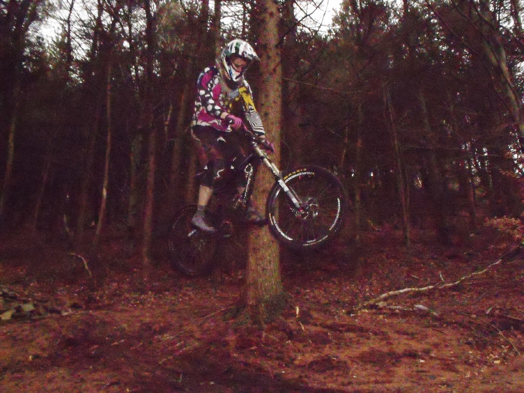 shredding