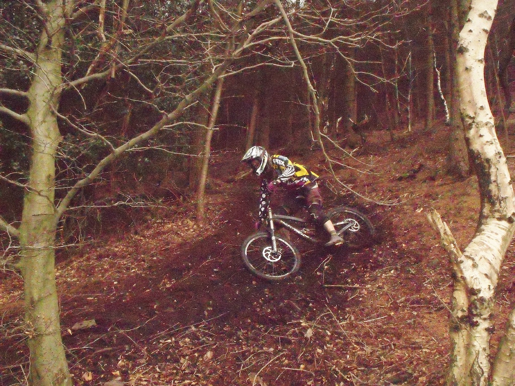shredding