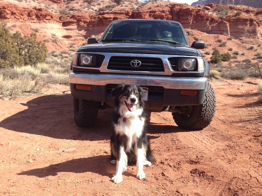 My dog and my truck