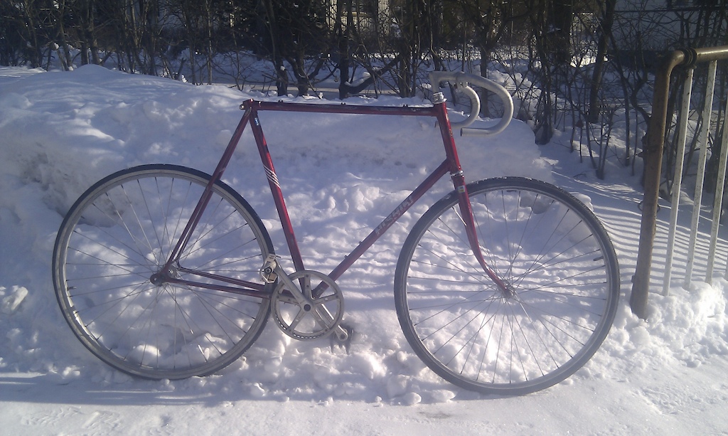 nishiki
