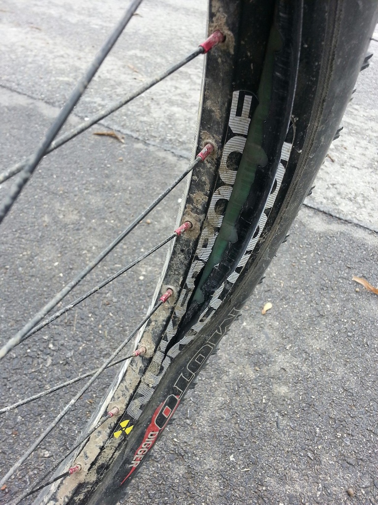 Best rim failure I've ever seen.