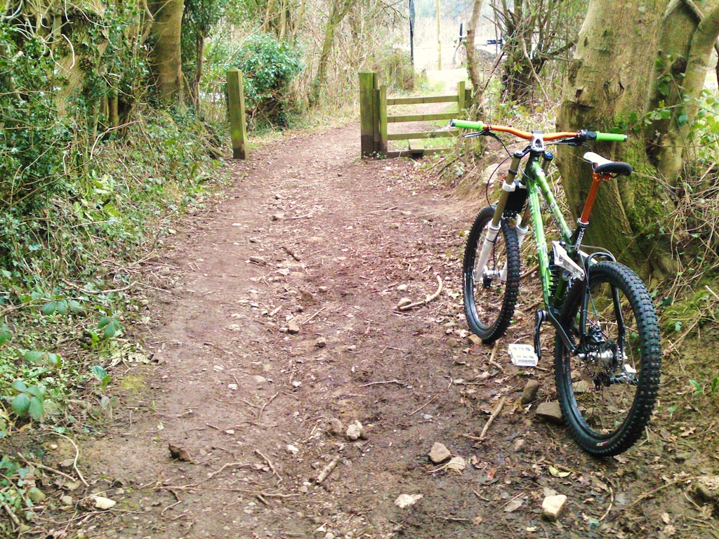 First quick spin on the Rogue....she reminds me of the Preditor, all camouflaged up in amongst the trees lol