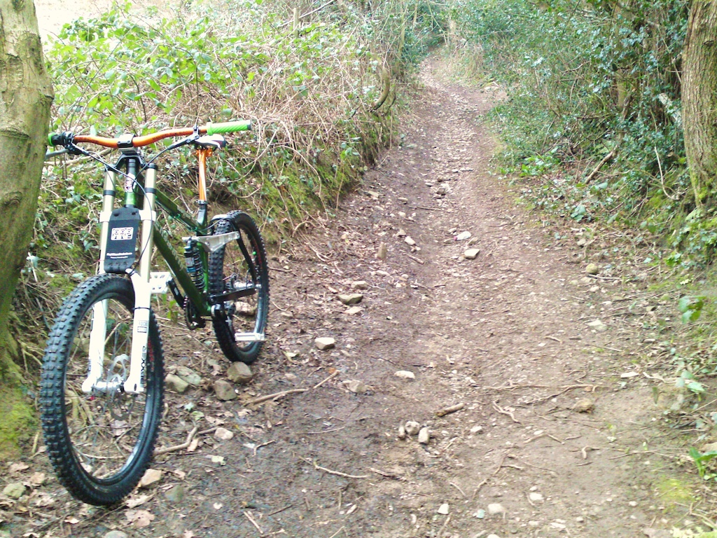 First quick spin on the Rogue....she reminds me of the Preditor, all camouflaged up in amongst the trees lol
