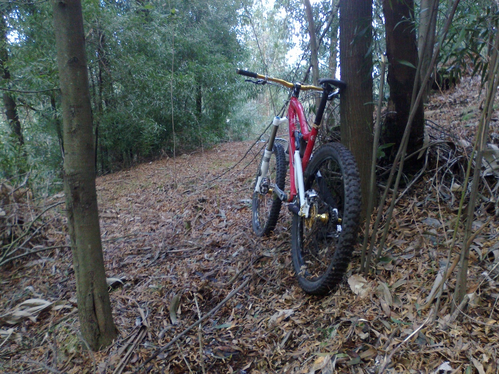 A new trail is coming to town @ Penha - Guimarães