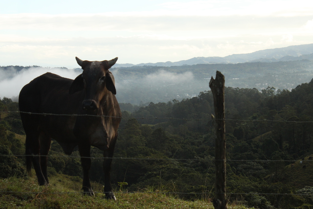 In the hills above Jarabacoa
