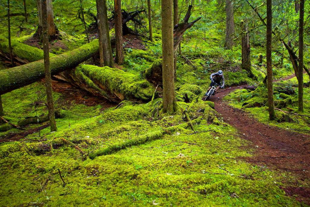 The McKenzie River trail has been listed over and over in top 10 must ride lists. There is a very good reason for that. However when we rode it we did not see a single person anywhere on it. Weird...