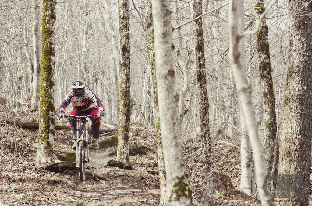 opening weekend at platty